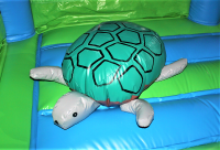 /album/atrakce-morsky-svet/morsky-svet-zelva-png1/